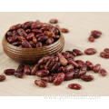 Kidney Beans Seeds